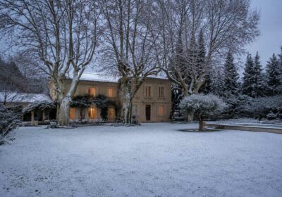Mas des Pampres Noël